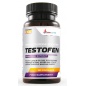  WestPharm Testofen 500  90 